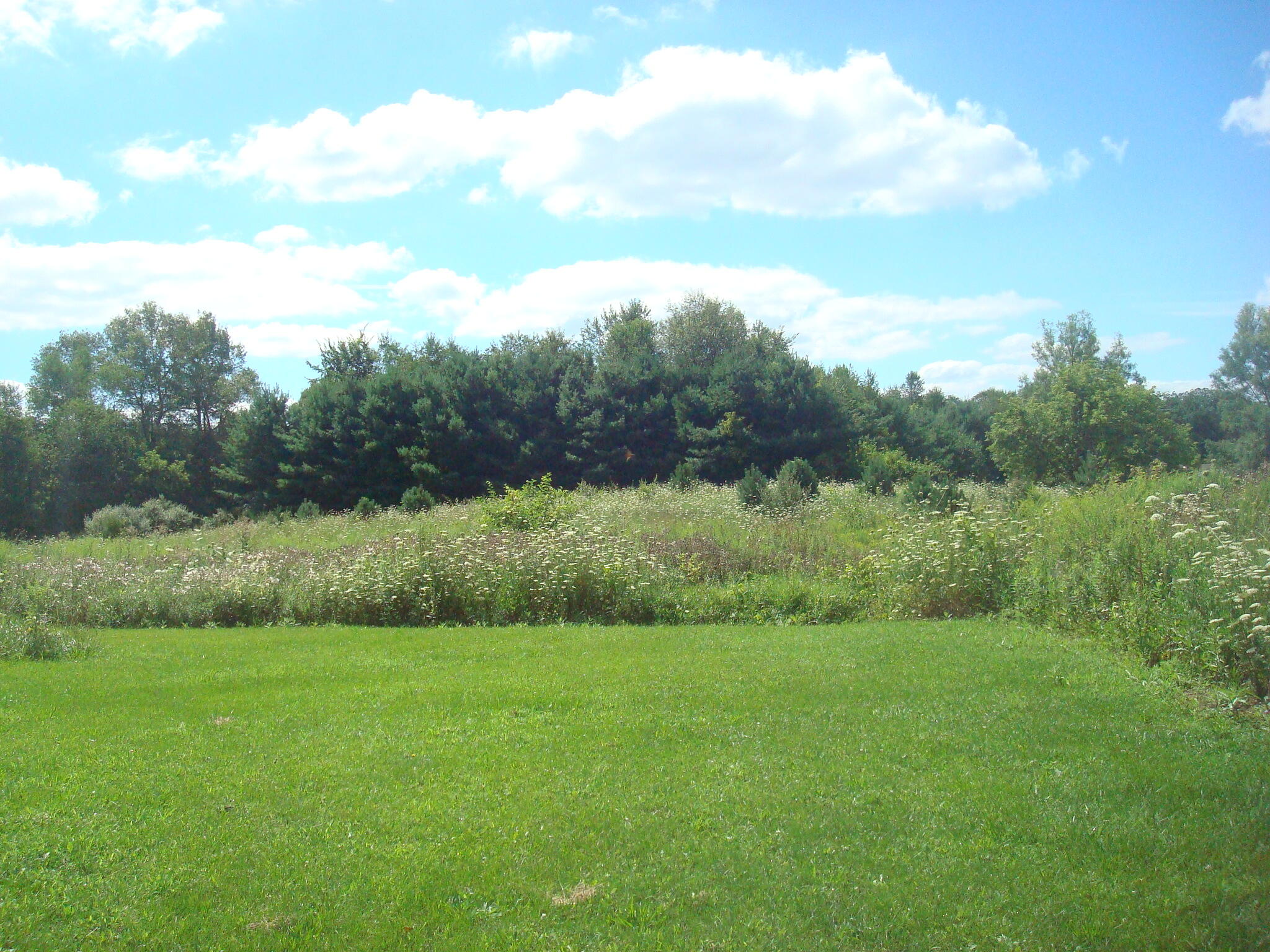 4847 South Rumsey Road Pittsford, MI 49271 - Photo 31 of 46 DSC04828