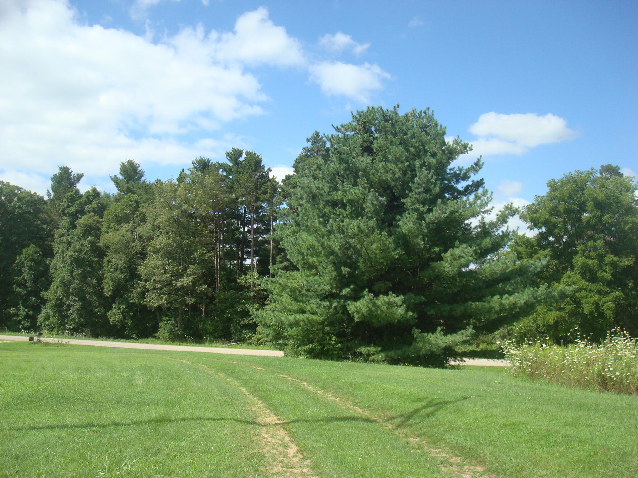4847 South Rumsey Road Pittsford, MI 49271 - Photo 5 of 46 DSC04843