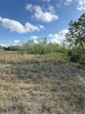 $65,000 | 0 Heather Road, Robstown, TX 78380