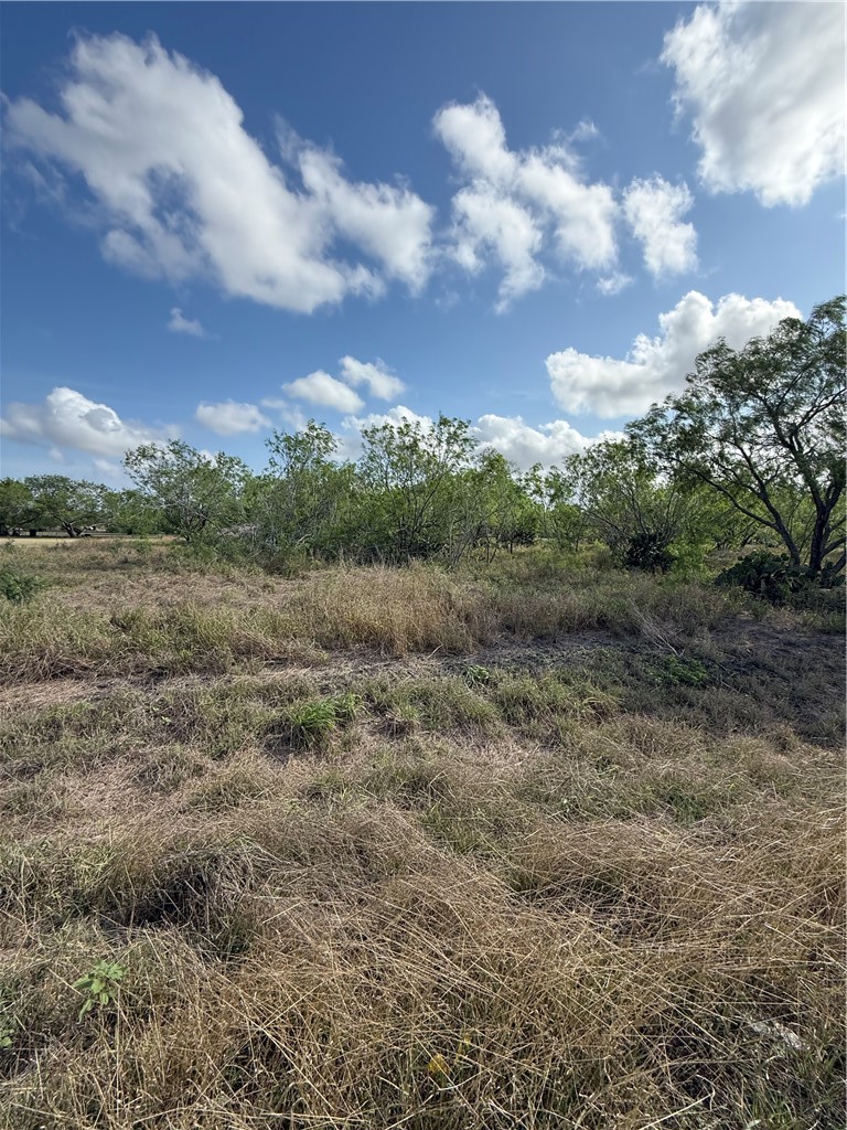 0 Heather Road Robstown, TX 78380 - Photo 3 of 4