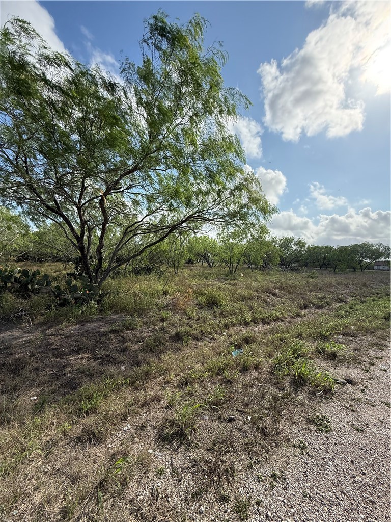 0 Heather Road Robstown, TX 78380 - Photo 4 of 4