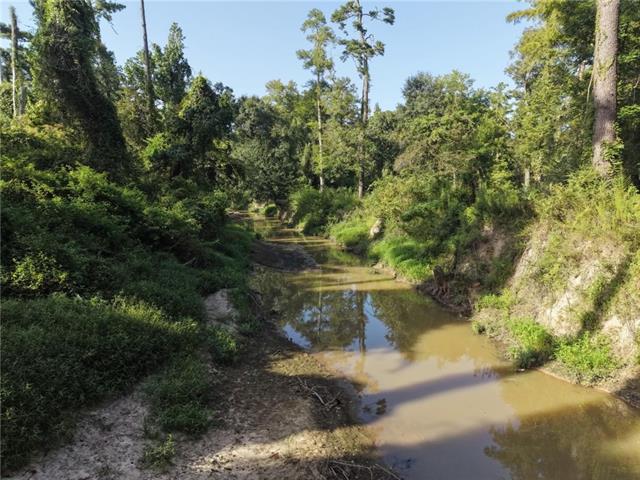26341 South Satsuma Road Livingston, LA 70754 - Photo 14 of 16 Gallery Image 14