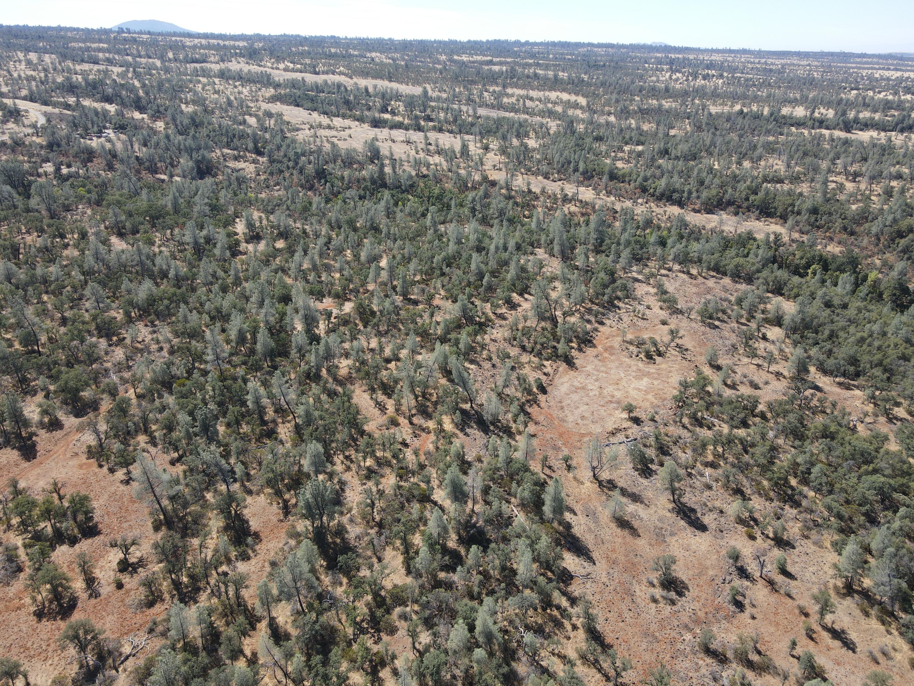 Nsa Dersch Road Shingletown, CA 96088 - Photo 49 of 56 DJI_0665