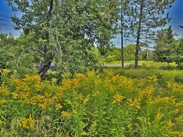 $29,900 | 1020 County Road, New Limerick, ME 04761