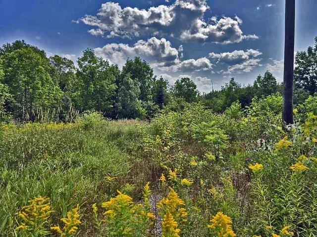 $29,900 | 1020 County Road, New Limerick, ME 04761