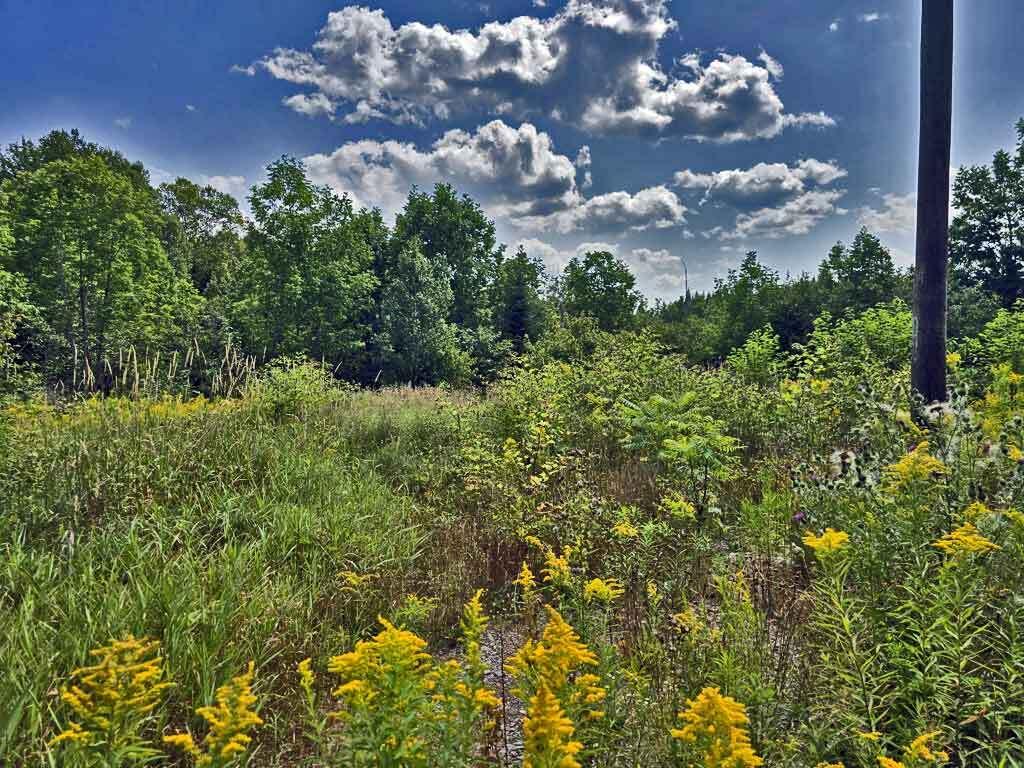 1020 County Road New Limerick, ME 04761 - Photo 3 of 16 land-country-house-site