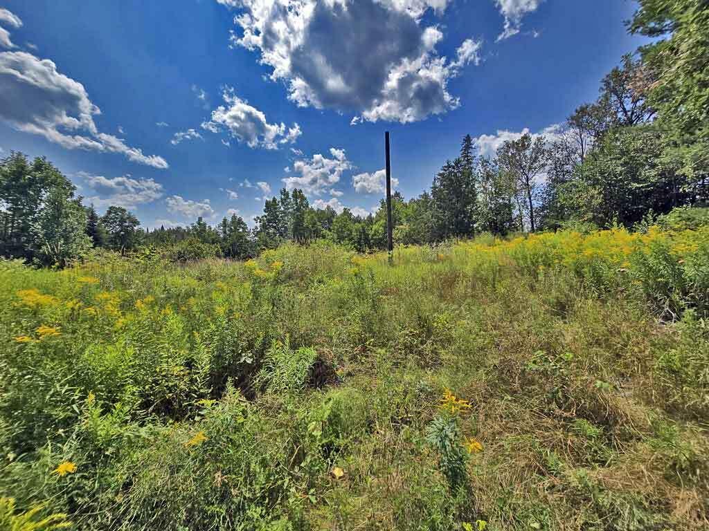 1020 County Road New Limerick, ME 04761 - Photo 4 of 16 land-for-rv-camper-house