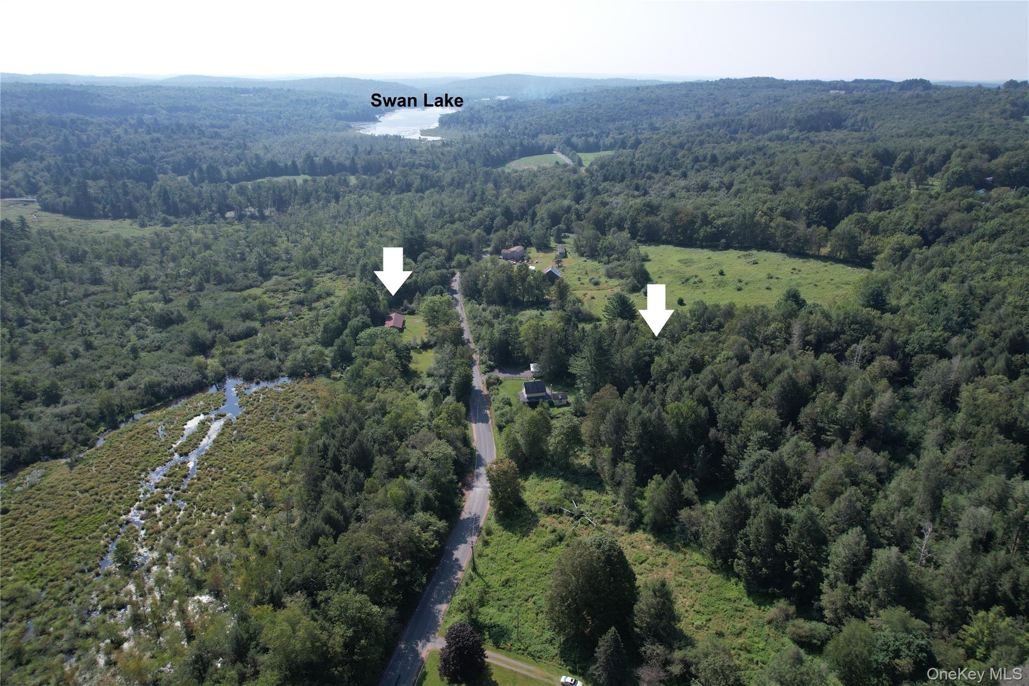 153 Shore Road Swan Lake, NY 12783 - Photo 3 of 39 an aerial view of multiple house