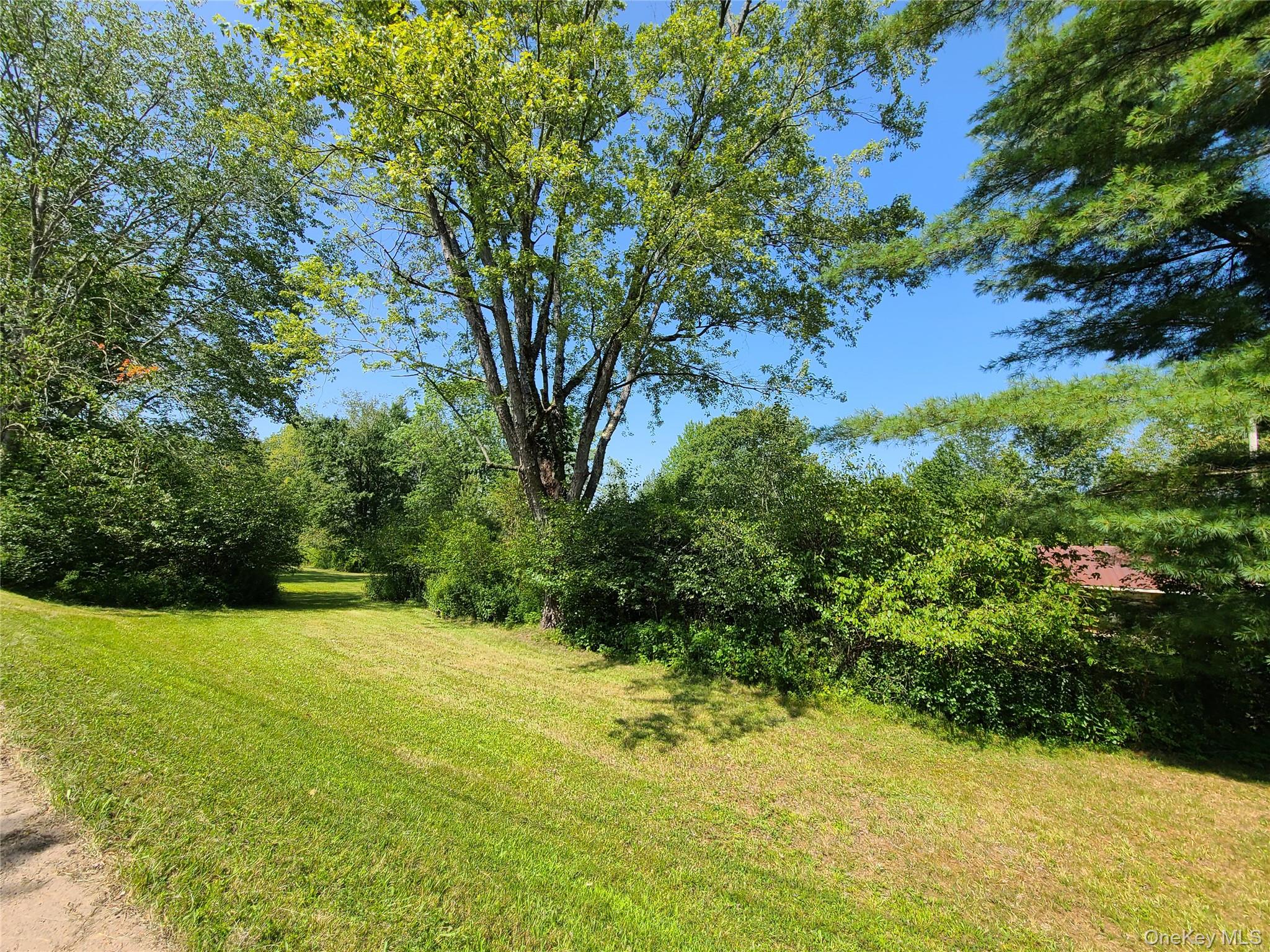 153 Shore Road Swan Lake, NY 12783 - Photo 31 of 39 a view of a garden with a tree
