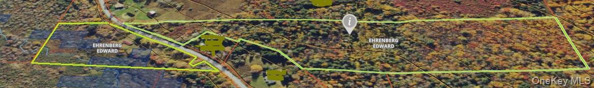 153 Shore Road Swan Lake, NY 12783 - Photo 33 of 39 a view of plant