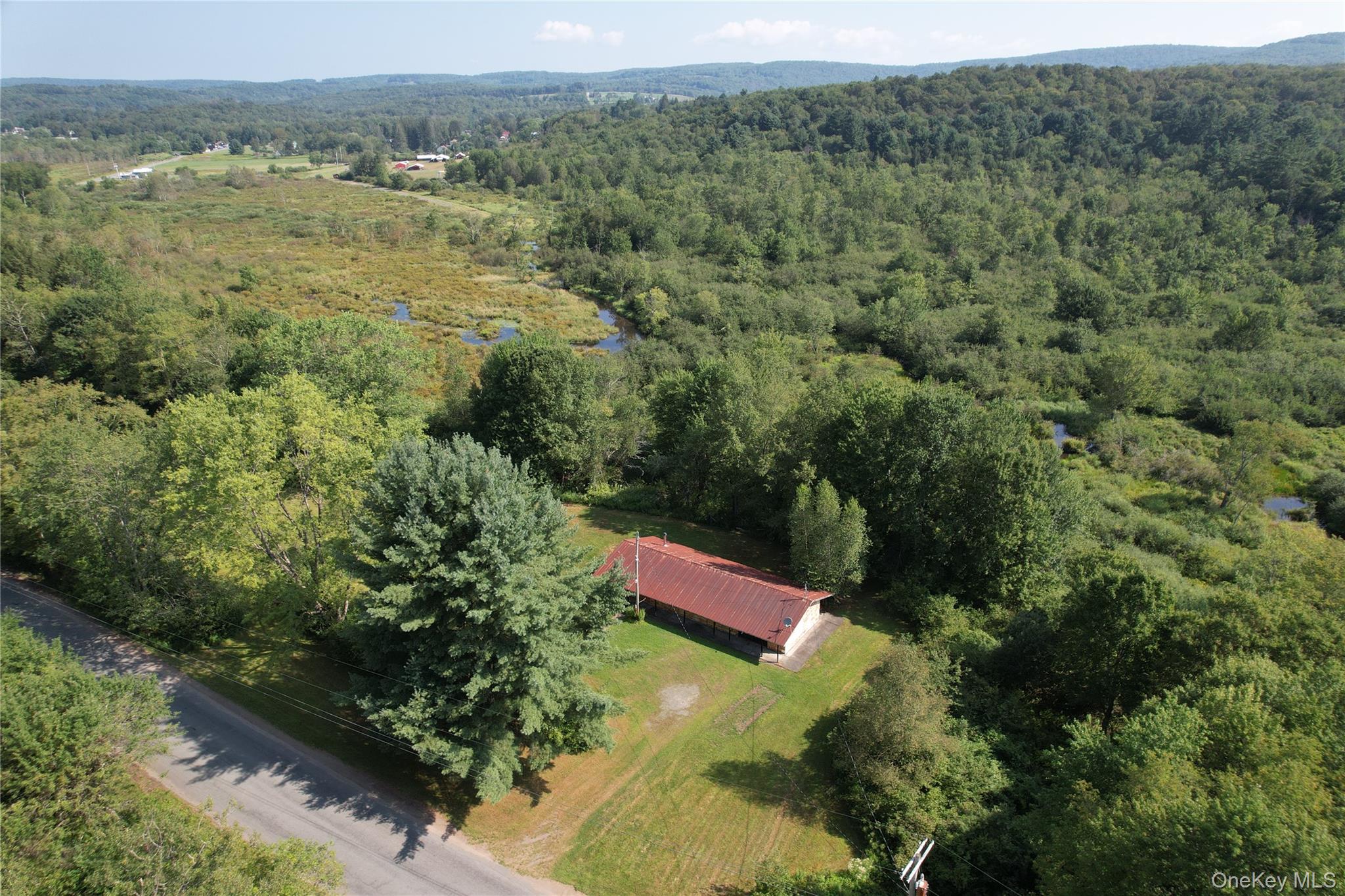 153 Shore Road Swan Lake, NY 12783 - Photo 34 of 39 a view of outdoor space and mountain view