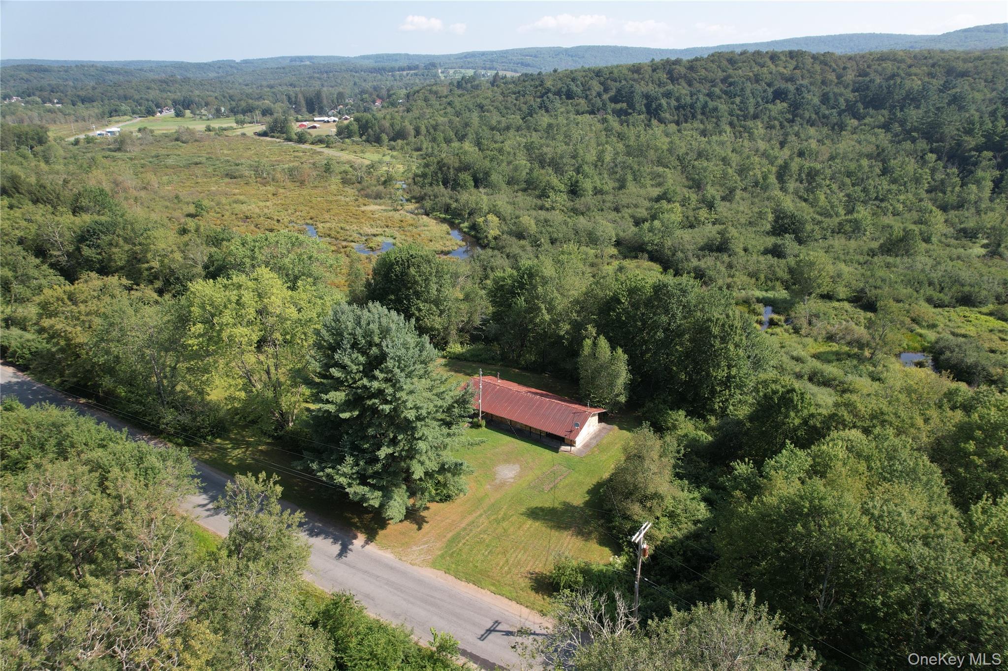 153 Shore Road Swan Lake, NY 12783 - Photo 35 of 39 an aerial view of a house with a yard