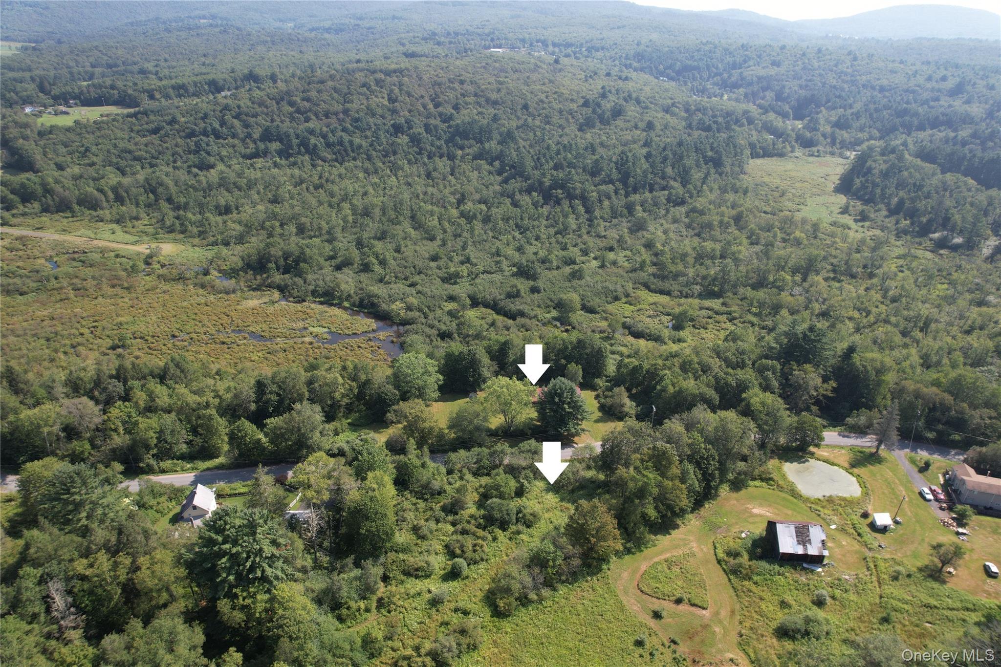 153 Shore Road Swan Lake, NY 12783 - Photo 6 of 39 an aerial view of a house with a yard