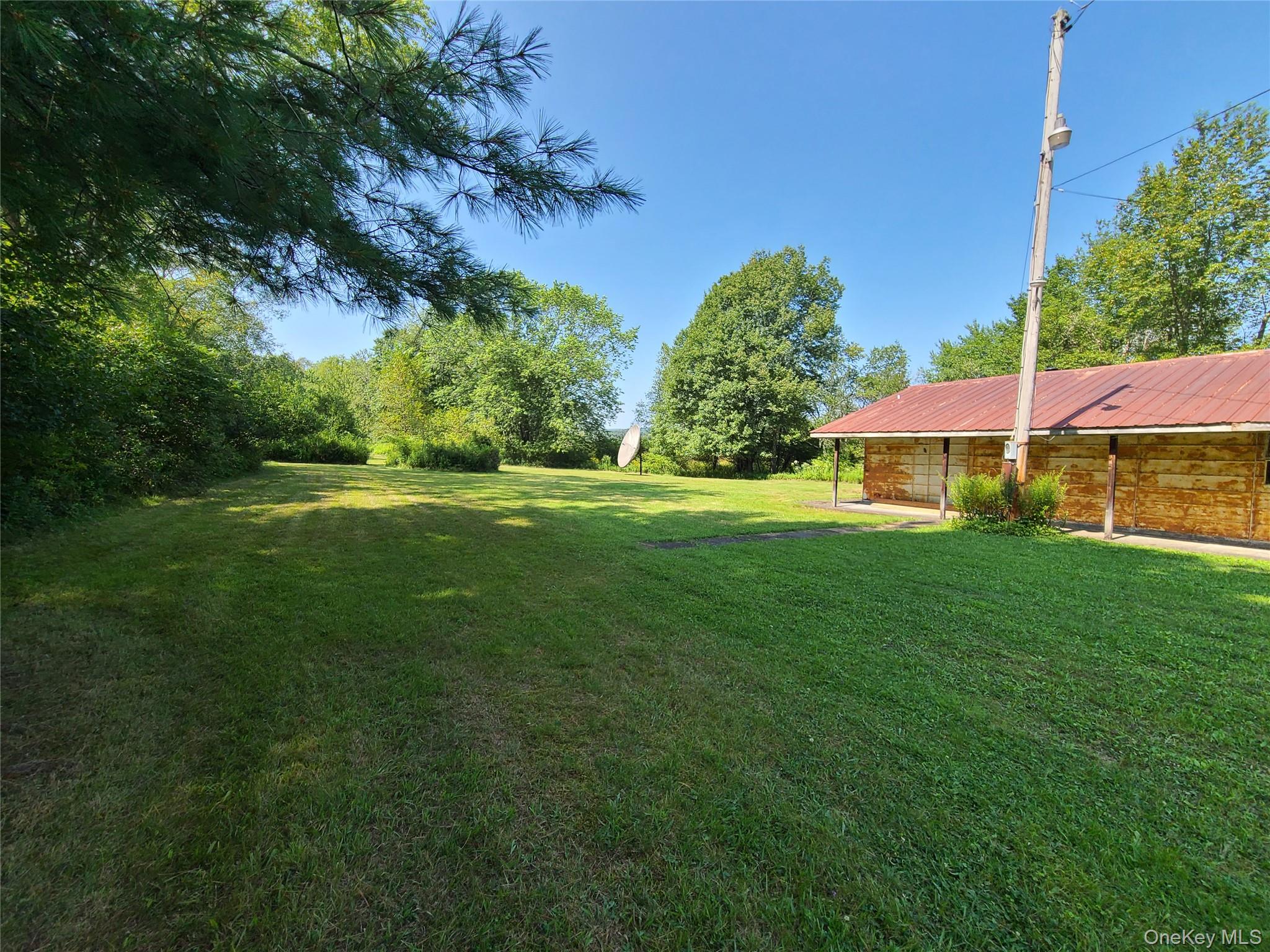 153 Shore Road Swan Lake, NY 12783 - Photo 8 of 39 a view of a park with large trees