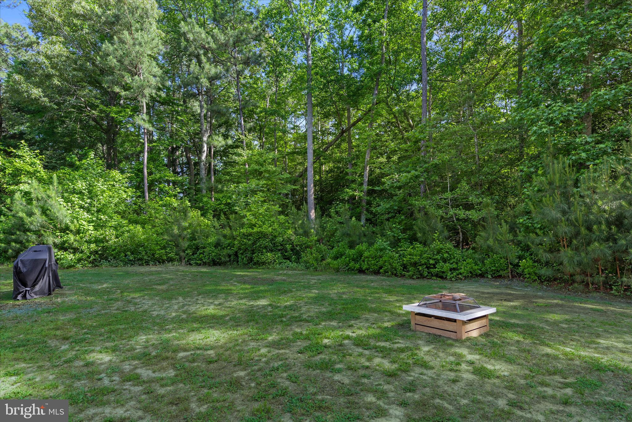 9249 Croppers Island Road Newark, MD 21841 - Photo 48 of 48 FIREPIT IN REAR YARD