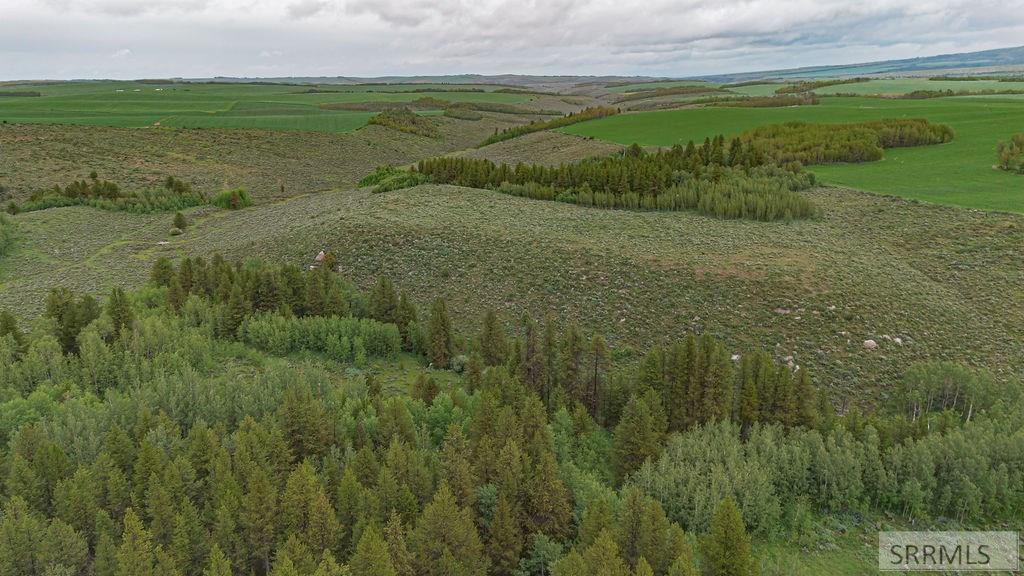 Tbd Tbd Long Hollow Road Tetonia, ID 83452 - Photo 18 of 25