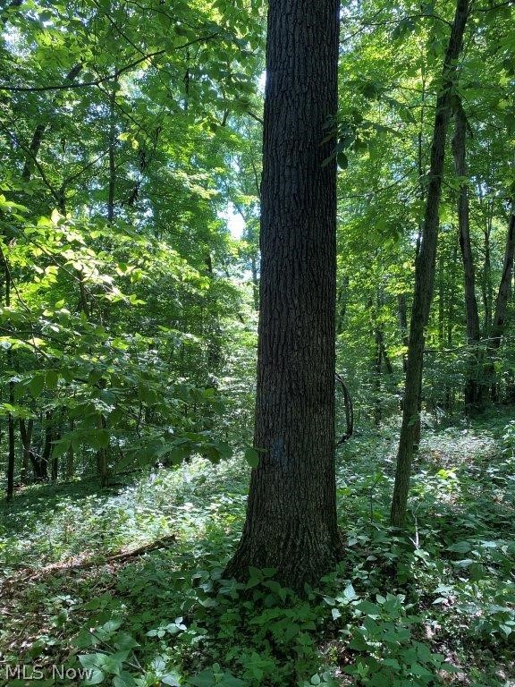 Staats Road Howard, OH 43028 - Photo 8 of 11
