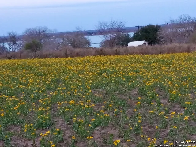 $278,000 | 147 Lago Drive, Sandia, TX 78383