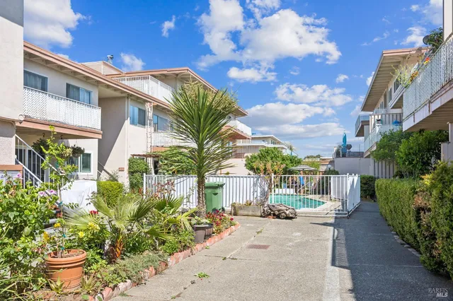 a view of a potted plants on a sidewalk
