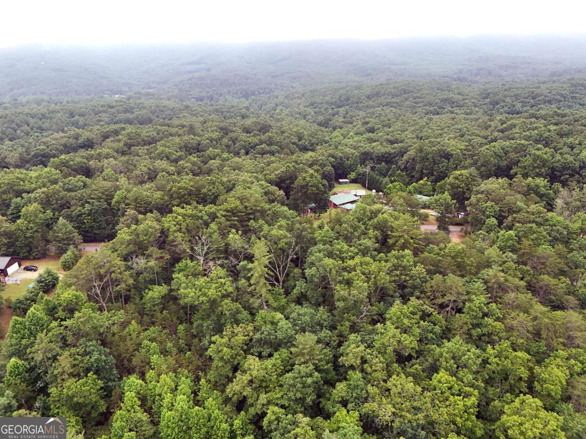 Lot 3 Cook Henry Road Blairsville, GA 30512 - Photo 13 of 18