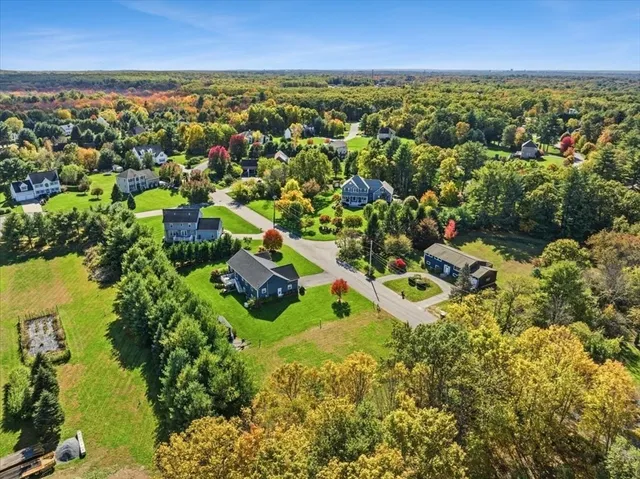 an aerial view of residential houses with outdoor space and trees