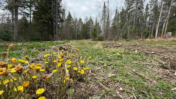 $100,000 | 227 Dukes Road, Johnson, VT 05656