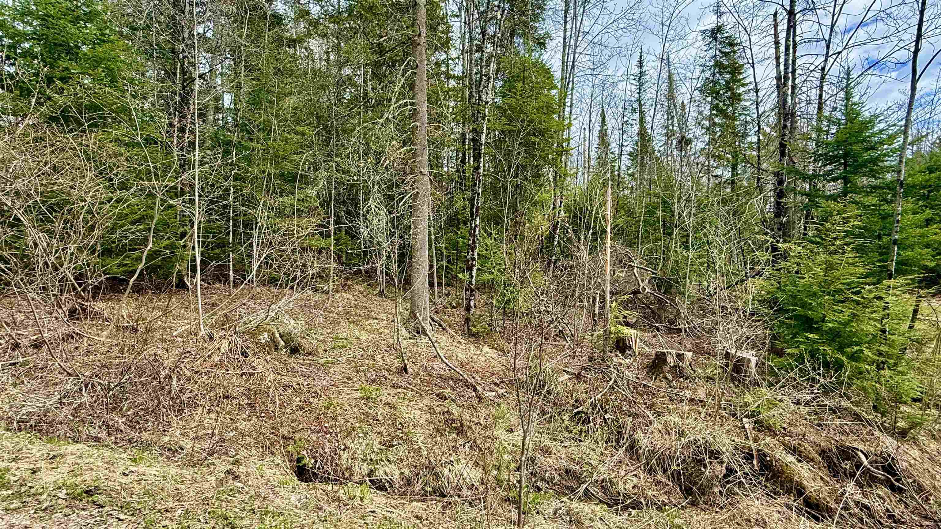 227 Dukes Road Johnson, VT 05656 - Photo 13 of 42