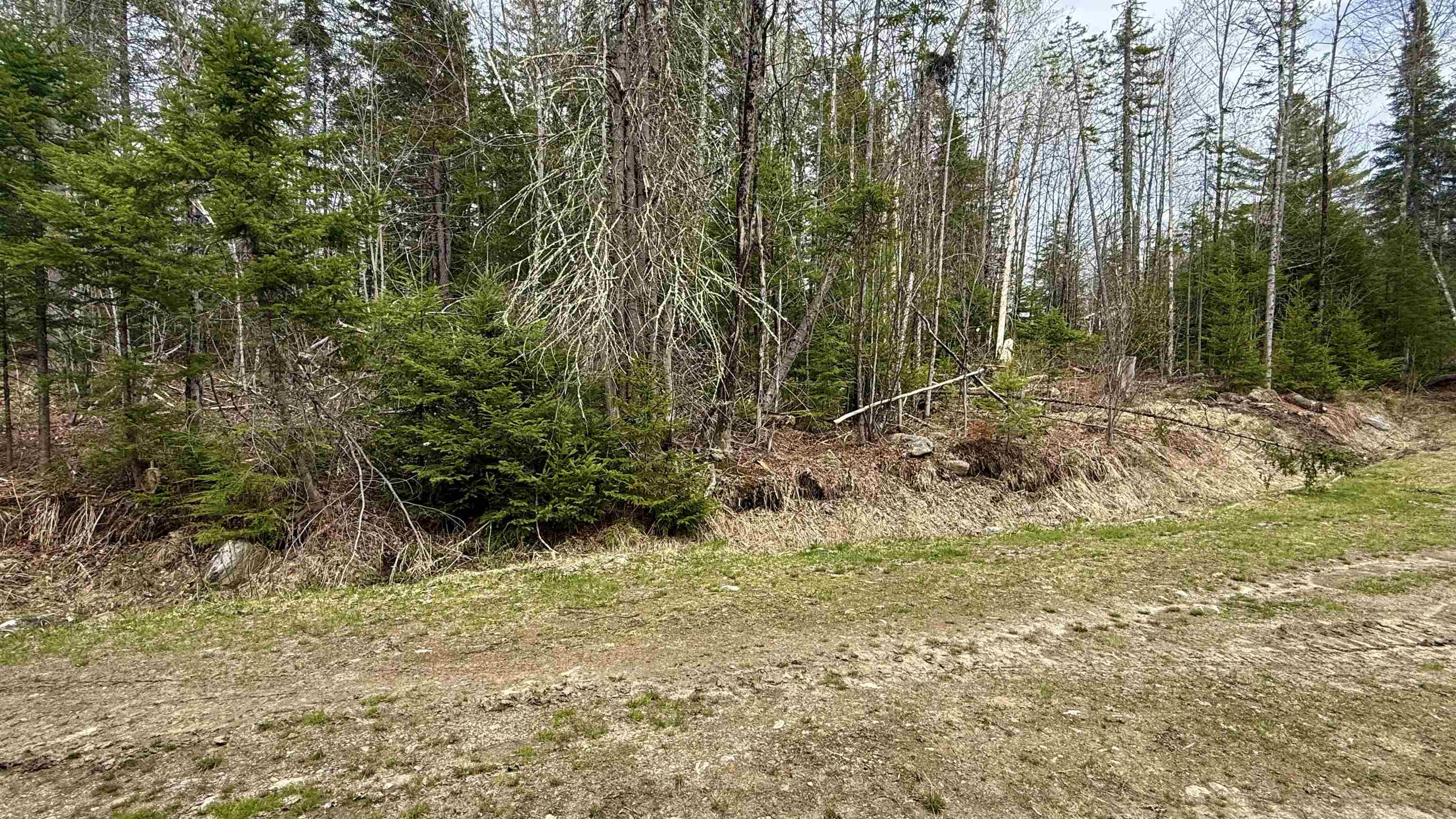 227 Dukes Road Johnson, VT 05656 - Photo 20 of 42