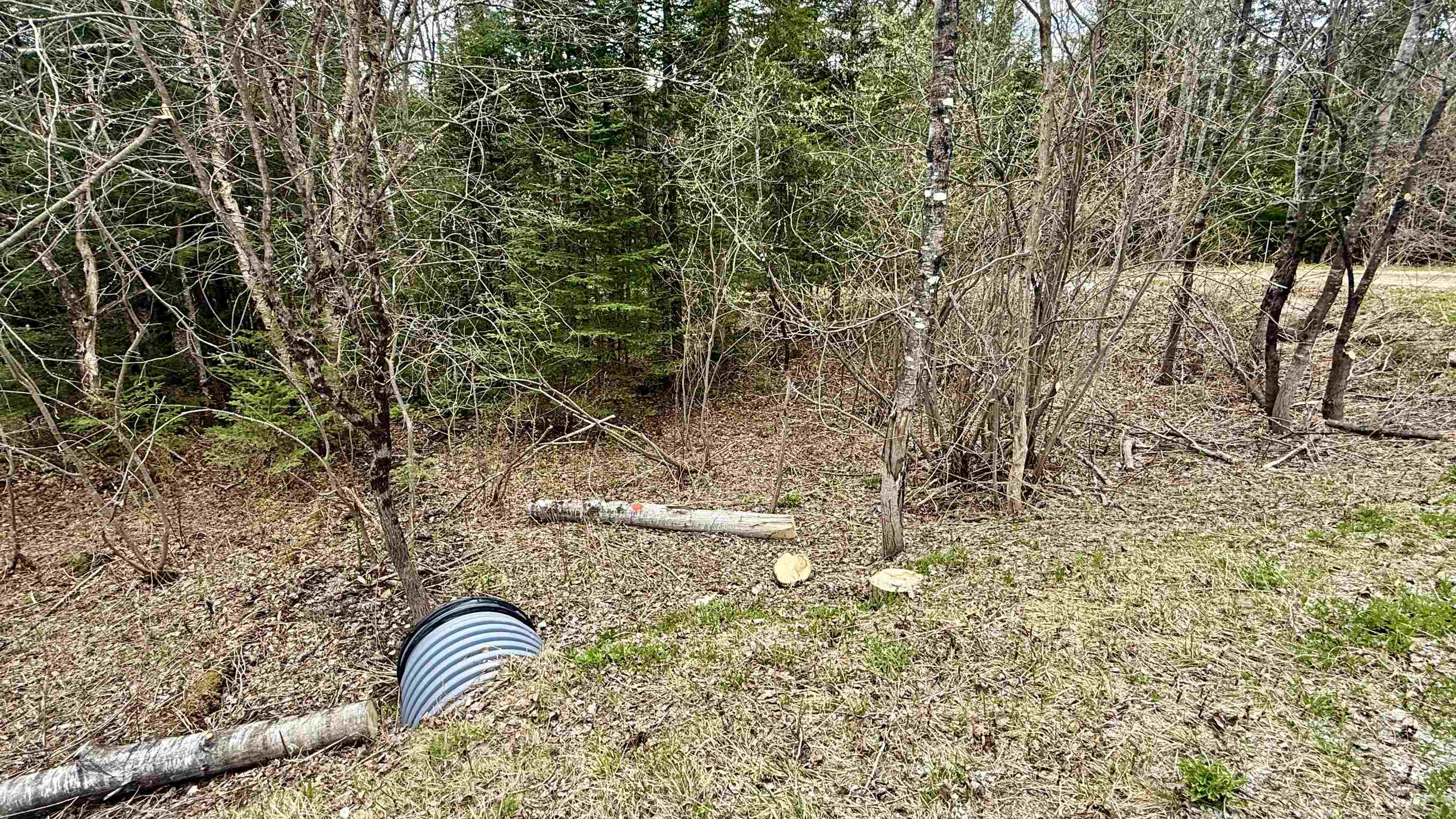 227 Dukes Road Johnson, VT 05656 - Photo 4 of 42