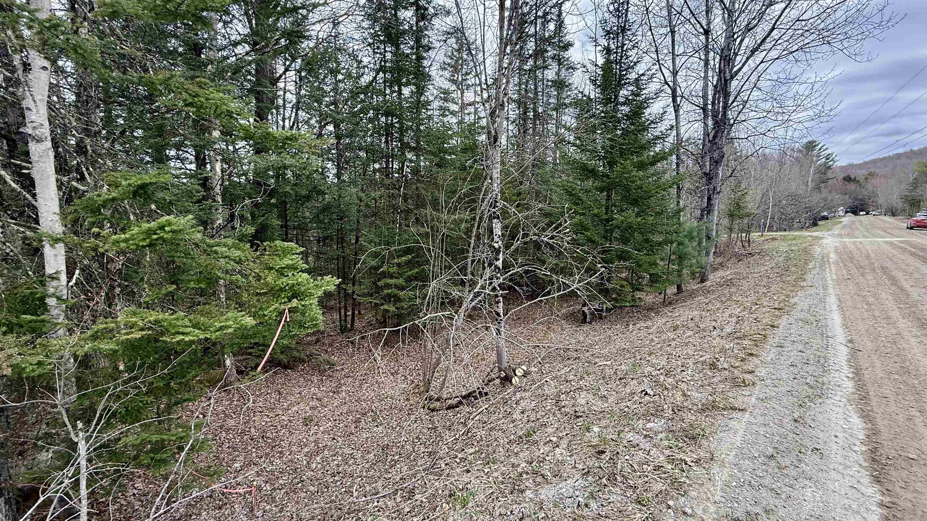 227 Dukes Road Johnson, VT 05656 - Photo 5 of 42