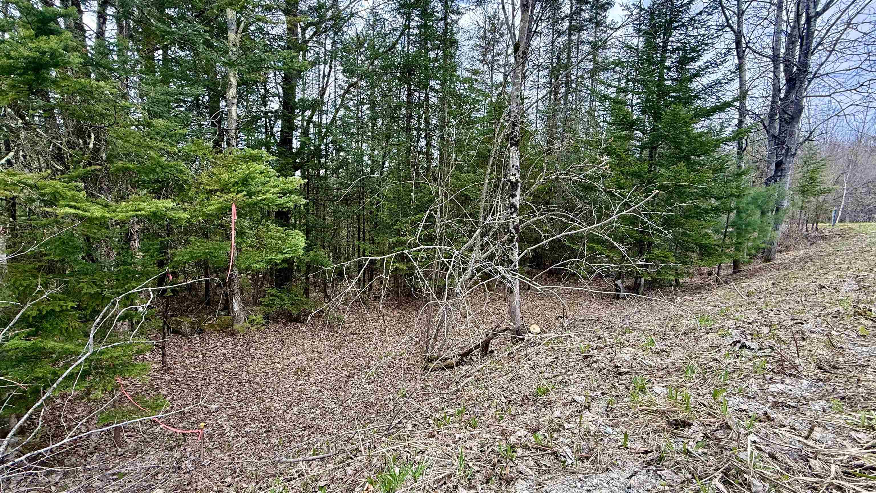 227 Dukes Road Johnson, VT 05656 - Photo 6 of 42