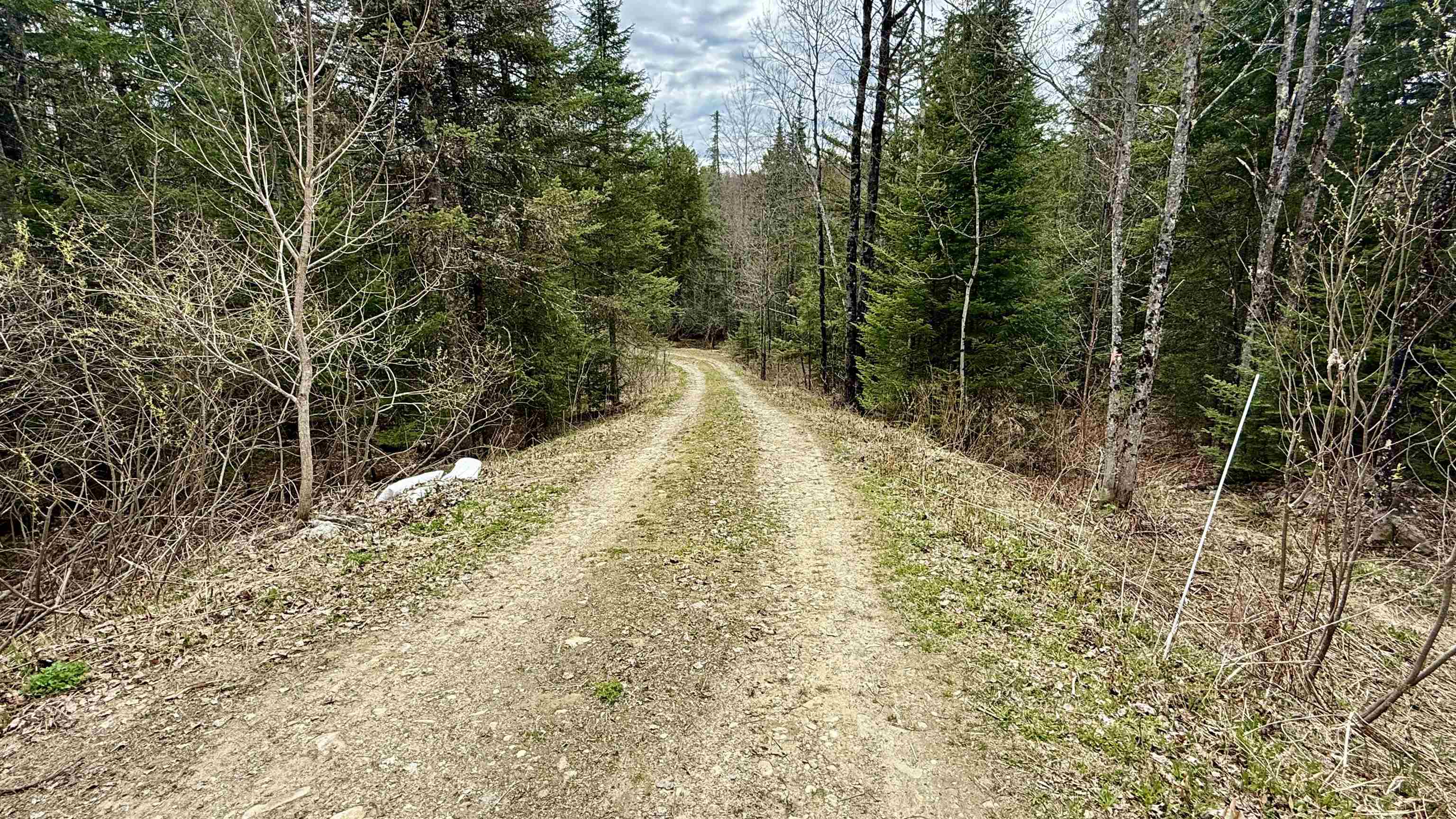227 Dukes Road Johnson, VT 05656 - Photo 7 of 42