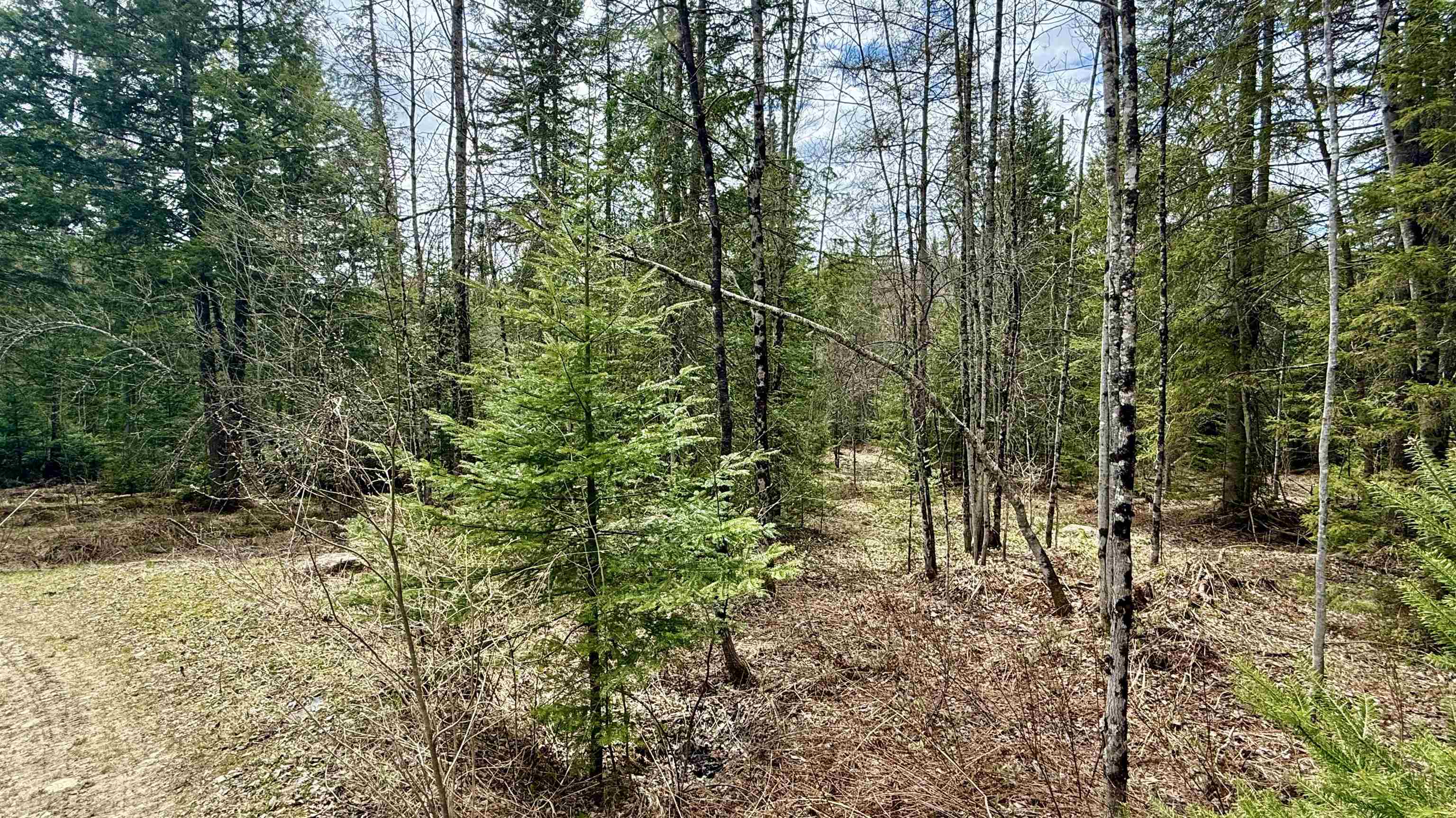227 Dukes Road Johnson, VT 05656 - Photo 10 of 42