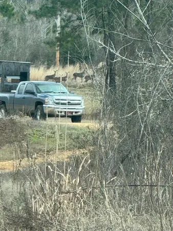 $430,000 | 1111 Mt Olive Road Southeast, Bogue Chitto, MS 39629