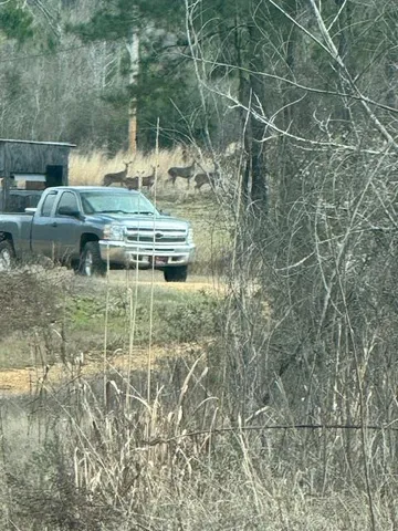 $430,000 | 1111 Mt Olive Road Southeast, Bogue Chitto, MS 39629