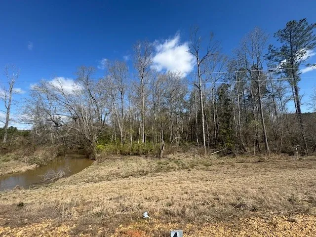 $430,000 | 1111 Mt Olive Road Southeast, Bogue Chitto, MS 39629