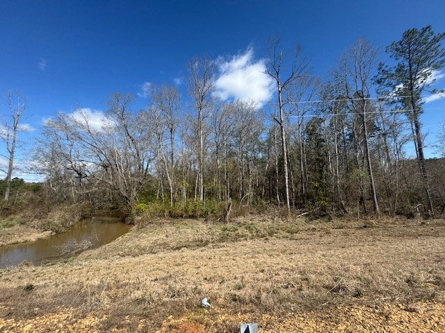 1111 Mt Olive Road Southeast Bogue Chitto, MS 39629 - Photo 3 of 13 Photo 3