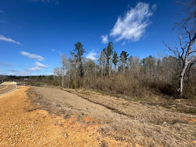1111 Mt Olive Road Southeast Bogue Chitto, MS 39629 - Photo 5 of 13 Photo 5