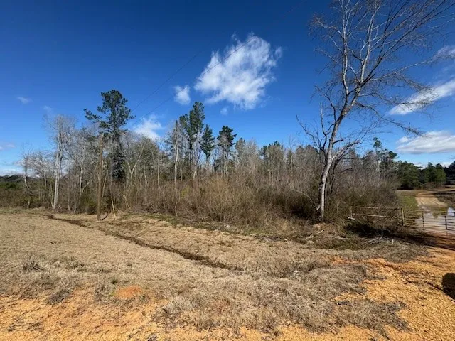 $430,000 | 1111 Mt Olive Road Southeast, Bogue Chitto, MS 39629