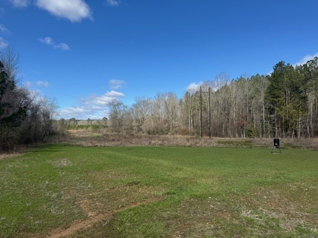 1111 Mt Olive Road Southeast Bogue Chitto, MS 39629 - Photo 8 of 13 Photo 8
