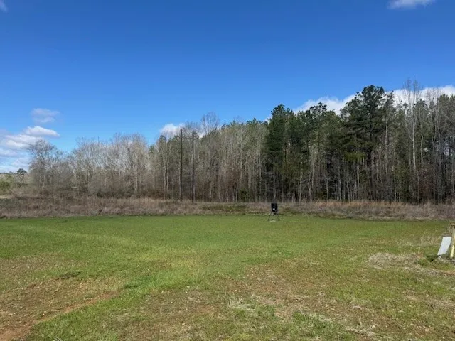 $430,000 | 1111 Mt Olive Road Southeast, Bogue Chitto, MS 39629