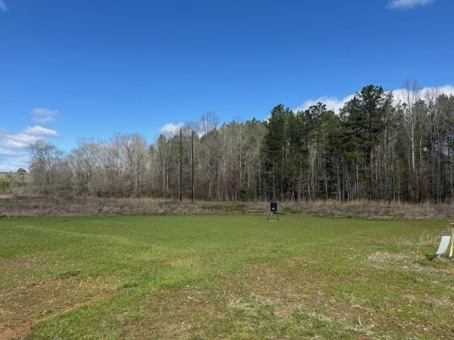 1111 Mt Olive Road Southeast Bogue Chitto, MS 39629 - Photo 9 of 13 Photo 9