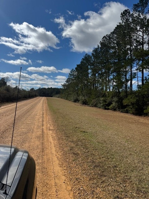 1111 Mt Olive Road Southeast Bogue Chitto, MS 39629 - Photo 10 of 13 Photo 10