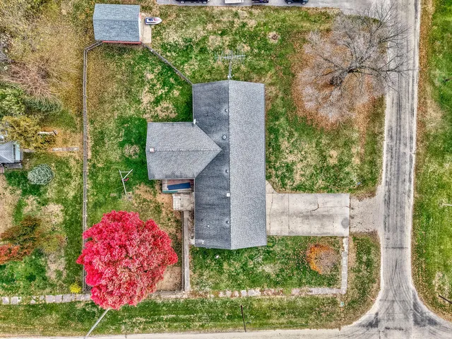 a picture of a tree with a yard