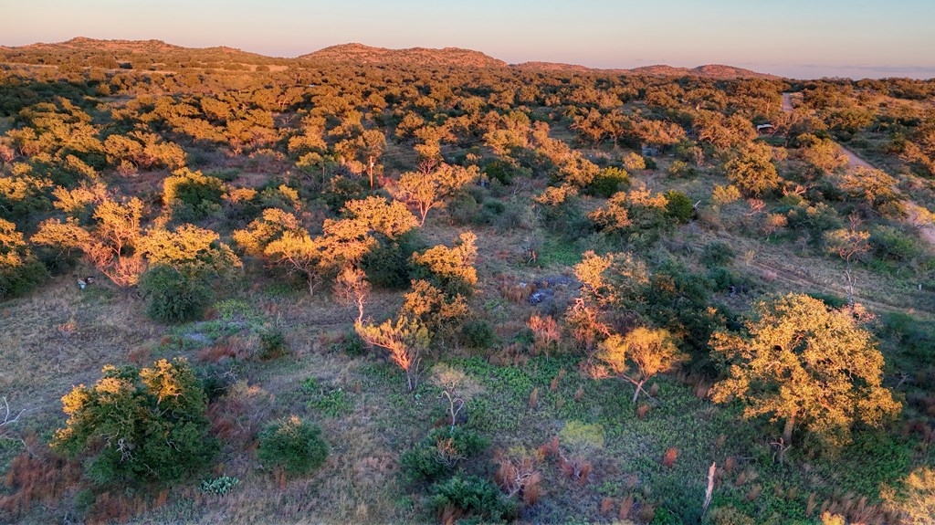 18248 Bode Peak Road Pontotoc, TX 76869 - Photo 11 of 17 a view of a tree in a yard