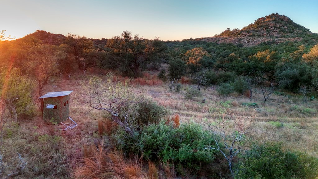 18248 Bode Peak Road Pontotoc, TX 76869 - Photo 12 of 17 a view of a back yard