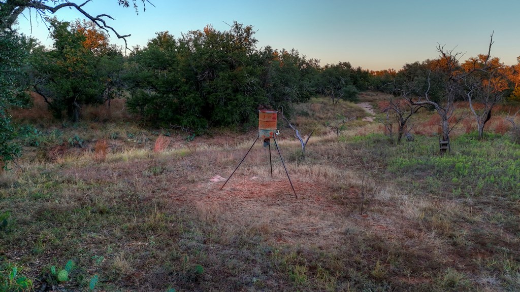 18248 Bode Peak Road Pontotoc, TX 76869 - Photo 15 of 17 a view of a forest with trees in the background
