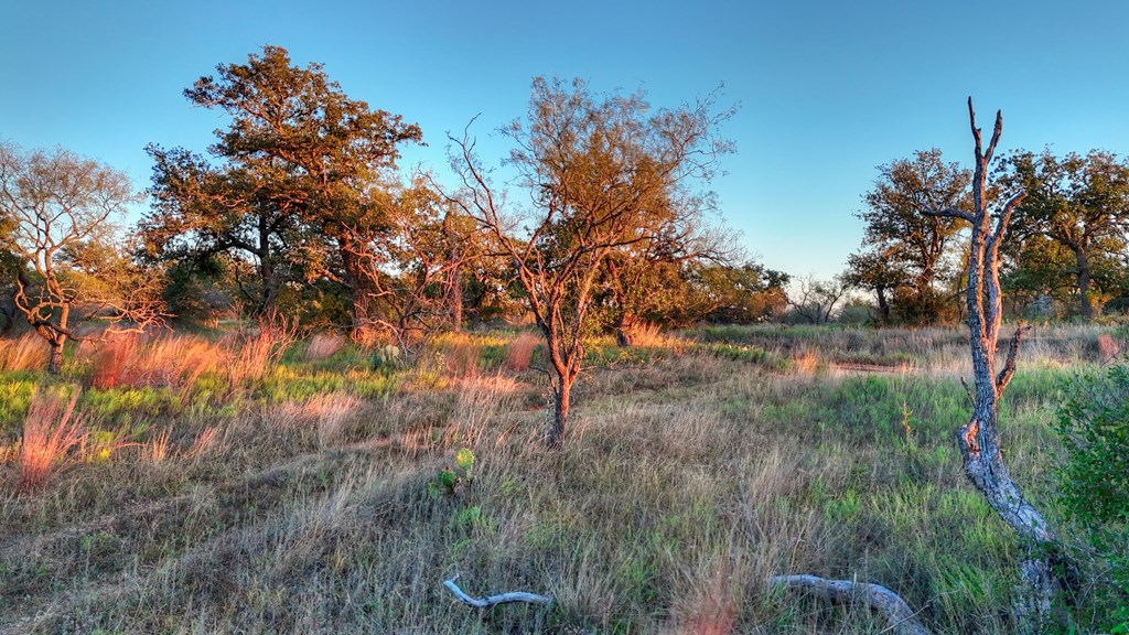 18248 Bode Peak Road Pontotoc, TX 76869 - Photo 16 of 17 a backyard of a house with lots of green space and lake view