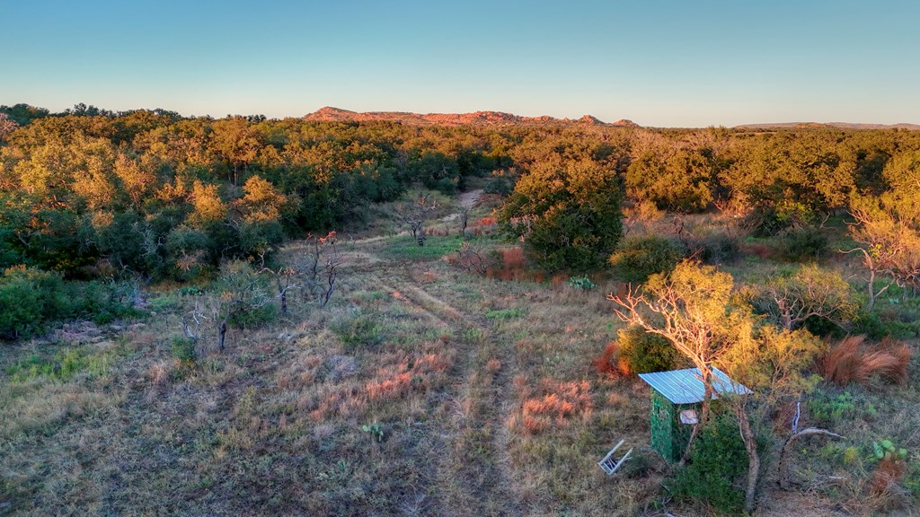 18248 Bode Peak Road Pontotoc, TX 76869 - Photo 17 of 17 a view of a forest with a forest