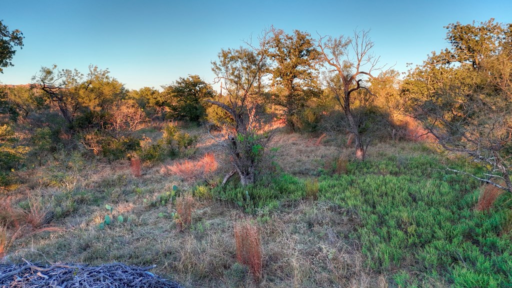 18248 Bode Peak Road Pontotoc, TX 76869 - Photo 3 of 17 a view of a yard